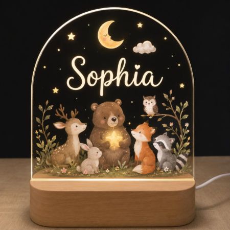 Picture for category Custom Shape Photo Night Light