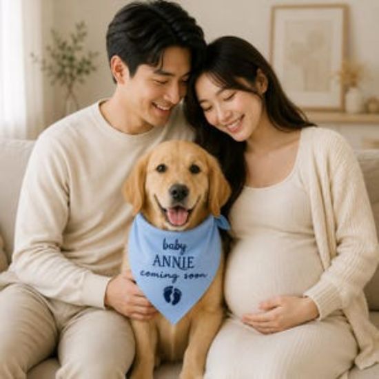 Pregnancy Announcement Dog Bandana, Baby Coming Soon Pet Bandana, Personalized Embroidered Dog Scarf, Custom Puppy Pregnancy Reveal Gift